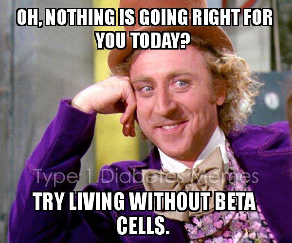 12063743_977032312355944_2891599142294413286_n