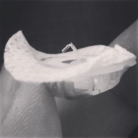 12307513_10156366643255533_4073696609830007234_o