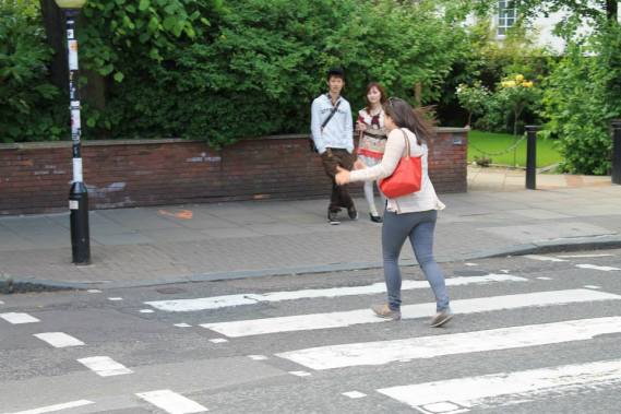 1005058_10152877210970533_1333540906_n